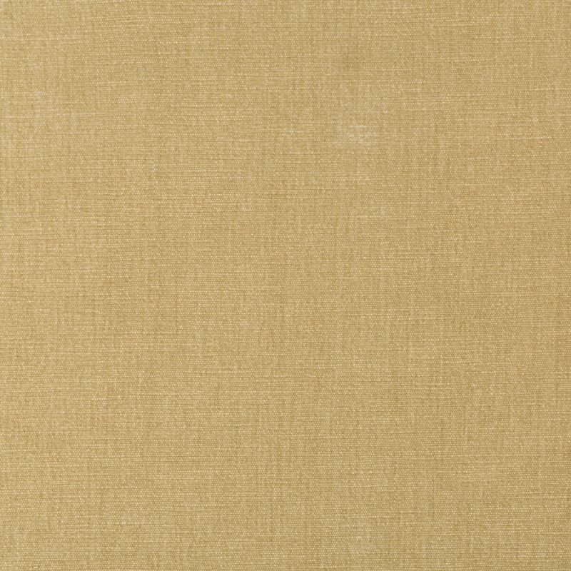 Fabric 36076.161 Kravet Smart by