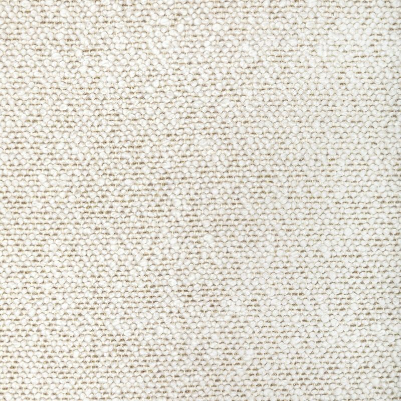 Kravet Couture Fabric 36329.116 Cosmic Plush Ivory Gold