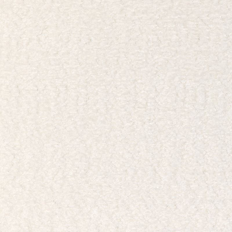 Fabric 36984.101 Kravet Smart by