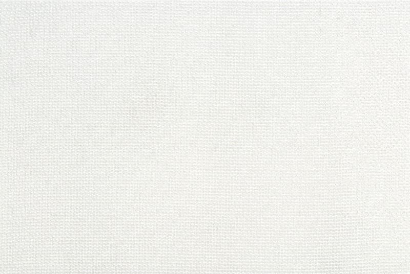 Kravet Contract Fabric 4289.101 Hedy Pearl