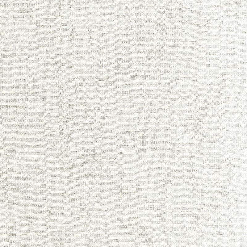 Fabric 4881.101 Kravet Basics by