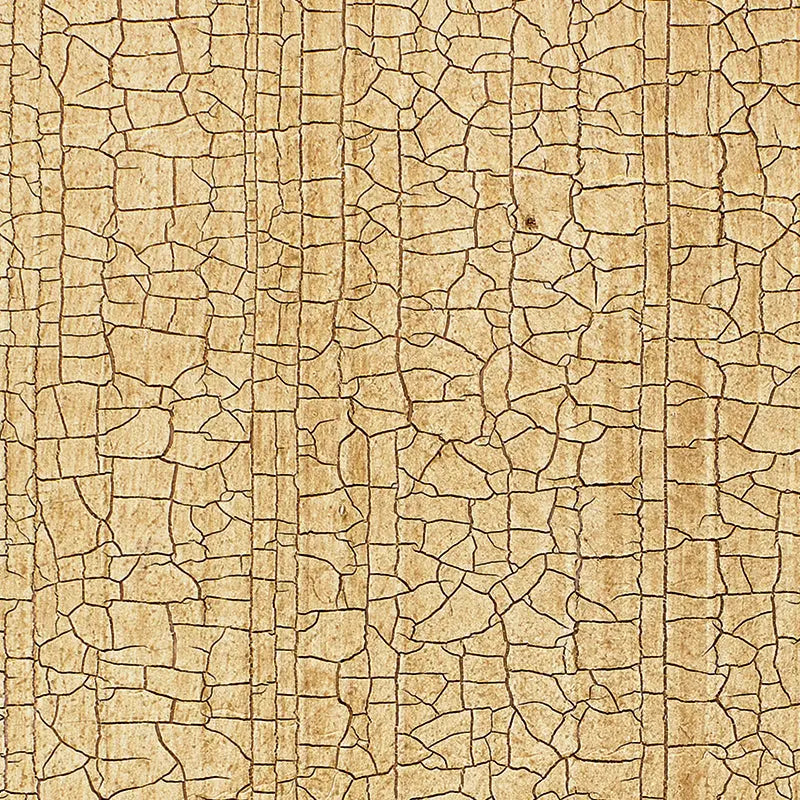 Schumacher Wallpaper 5003760 Masaccio Ground Bisque