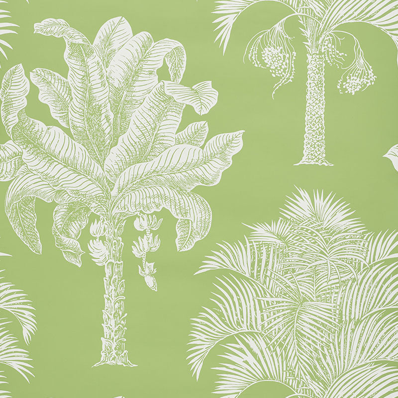 Schumacher Wallpaper 5009620 Grand Palms Leaf