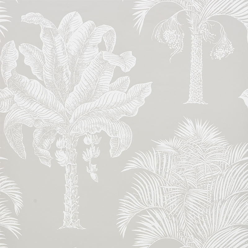 Schumacher Wallpaper 5009622 Grand Palms Dove