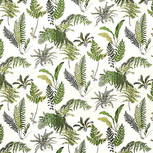 Schumacher Wallpaper 5010660 Les Fougeres Document