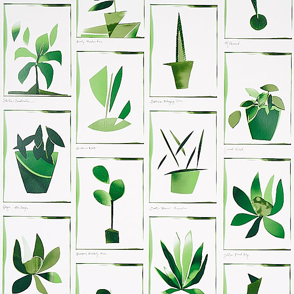 Schumacher Wallpaper 5012691 Botanicals Greenhouse
