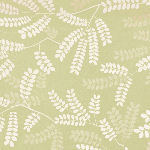 Schumacher Fabric 62440 Locust Leaves Fern