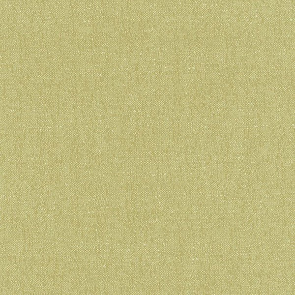 Schumacher Fabric 62463 Stone Texture Fern