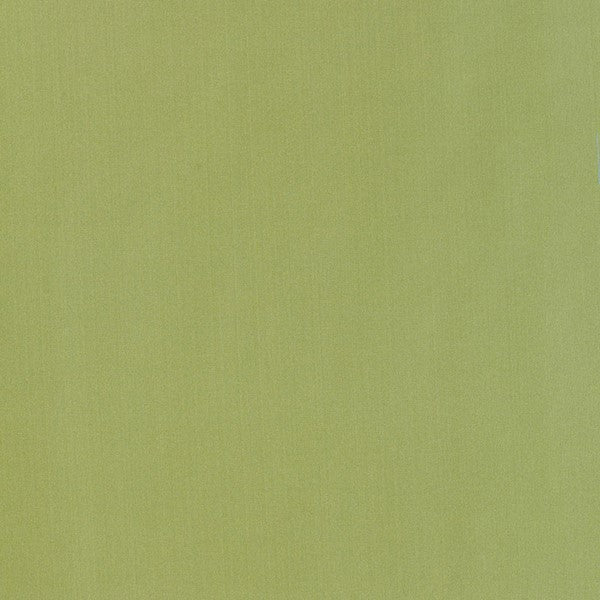 Schumacher Fabric 63970 Giordano Taffeta Kryptonite