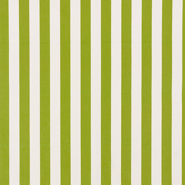 Schumacher Fabric 71326 Andy Stripe Green