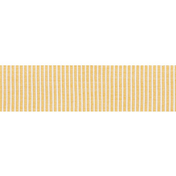 Schumacher Fabric Trim 75581 Knox Tape Gold