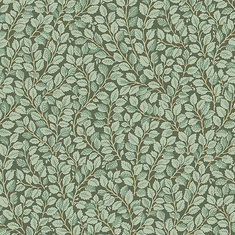 Schumacher Wallpaper 7663 Hazel Spruce