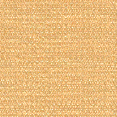Brunschwig & Fils Fabric 8012128.16 Chi Texture Beige