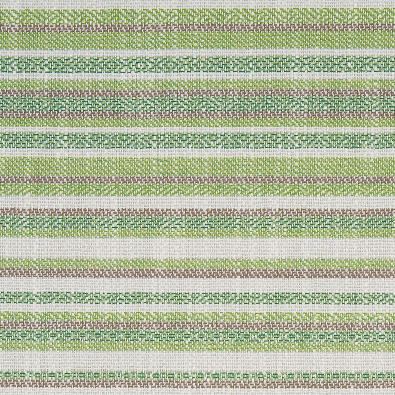 Schumacher Fabric 81050 Dylan Indoor/Outdoor Green