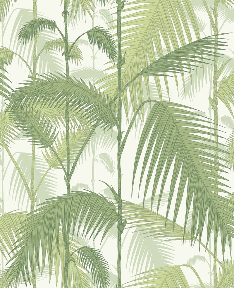Cole & Son Wallpaper 95/1001.CS Palm Jungle Olive Gre/White