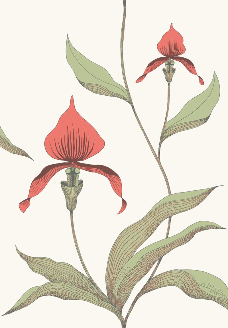 Cole & Son Wallpaper 95/10054.CS Orchid Red/White