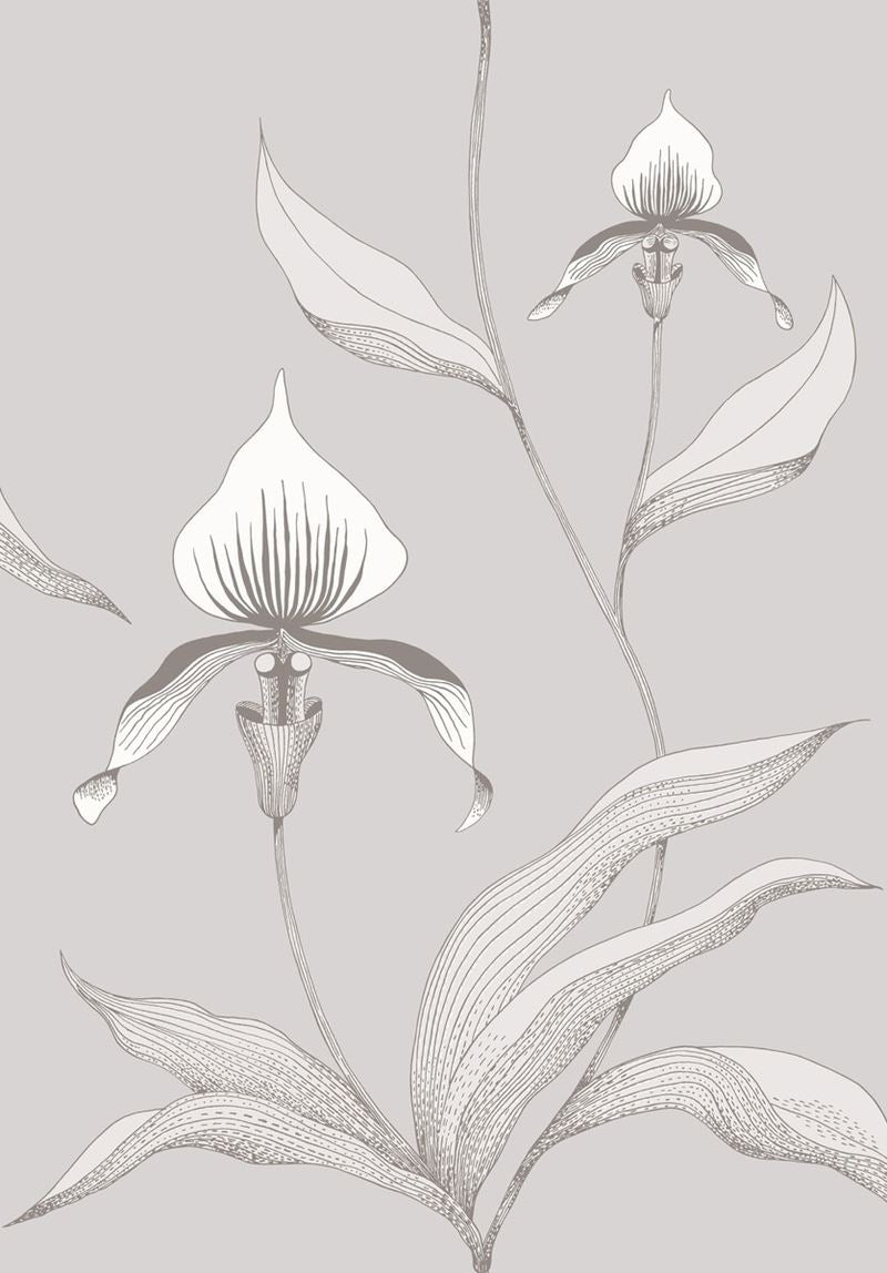 Cole & Son Wallpaper 95/10055.CS Orchid Grey/White