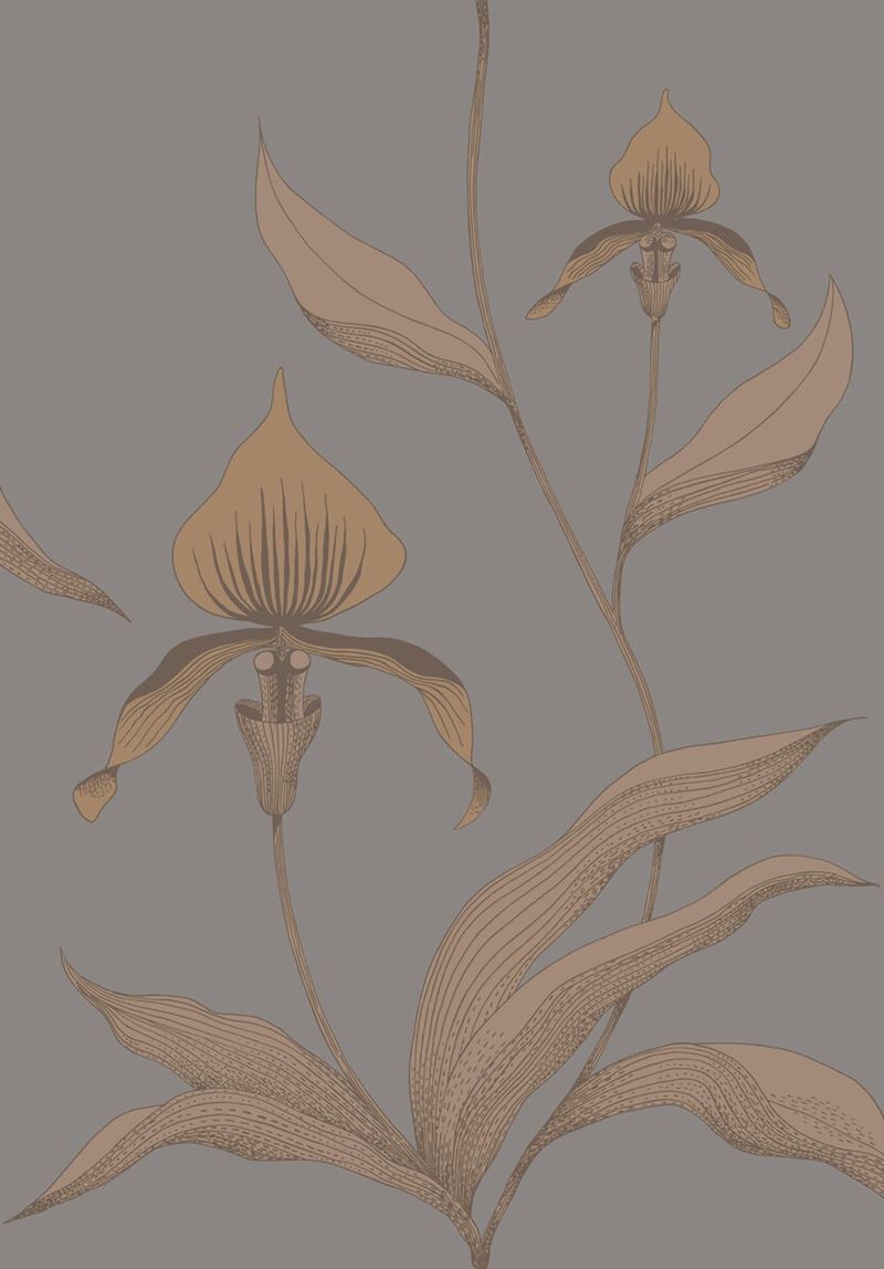 Cole & Son Wallpaper 95/10056.CS Orchid Bronze/Slate