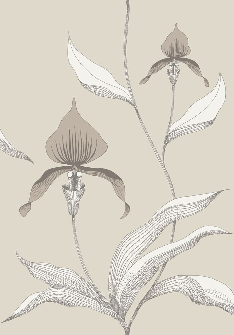 Cole & Son Wallpaper 95/10058.CS Orchid Linen/White