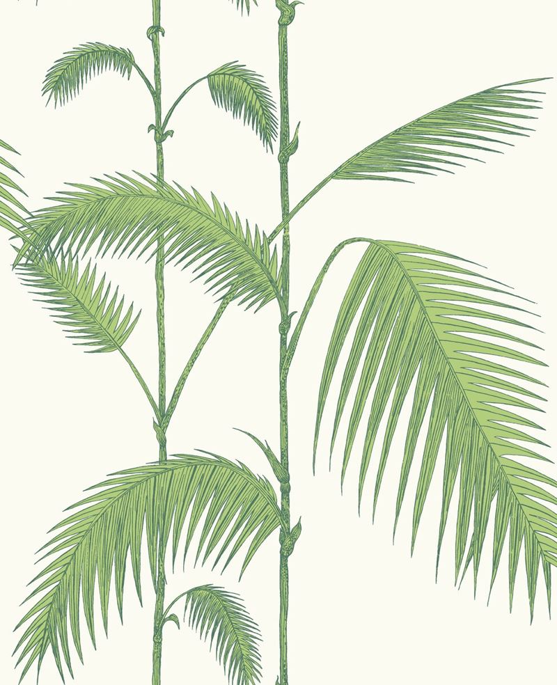 Cole & Son Wallpaper 95/1009.CS Palm Leaves Green/White