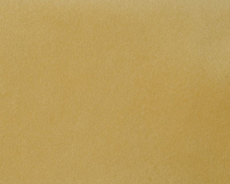 Scalamandre Fabric A9 0002T019 Safety Velvet Nude Cream