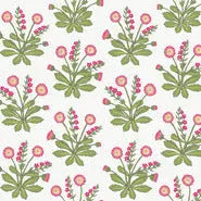 York AC9153 Meadow Flowers Wallpaper