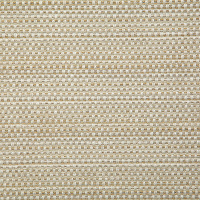 Pindler Fabric BAL068-BG01 Balcony Natural