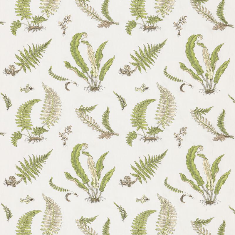 G P & J Baker Fabric BF10991.2 Ferns Embroidery Green