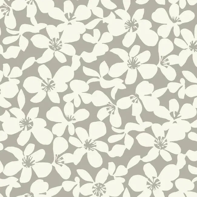 York BO6681 Free Spirit Wallpaper