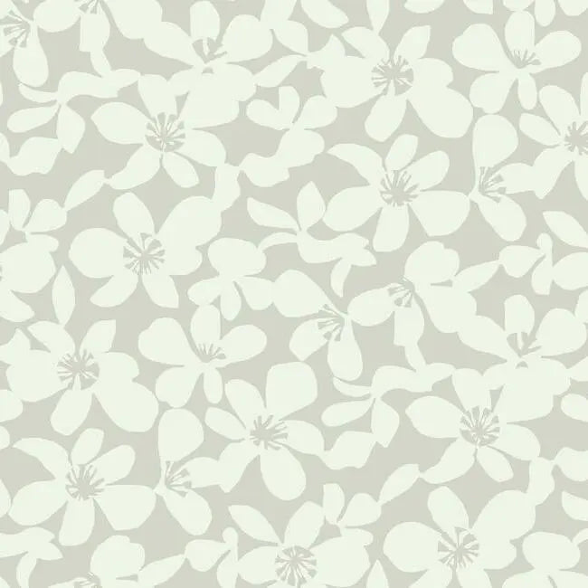 York BO6682 Free Spirit Wallpaper