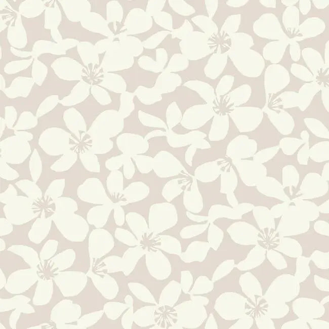 York BO6685 Free Spirit Wallpaper