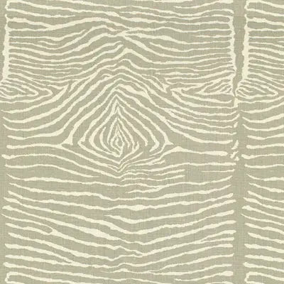 Brunschwig & Fils Fabric BR-79168.11 Le Zebre Pewter