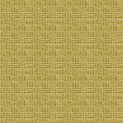 Brunschwig & Fils Fabric BR-800043.405 Reed Texture Lichen