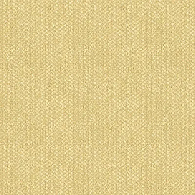 Brunschwig & Fils Fabric BR-81782.057 Yorke Chenille Sand