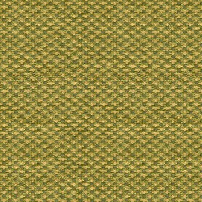 Brunschwig & Fils Fabric BR-89474.432 Spencer Silk Chenille Leaf