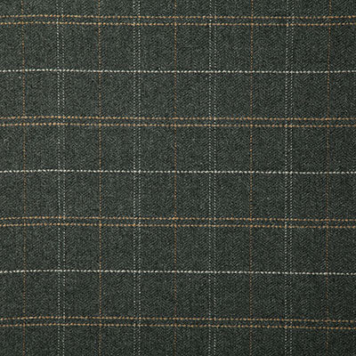 Pindler Fabric BRI083-GY01 Bridger Charcoal