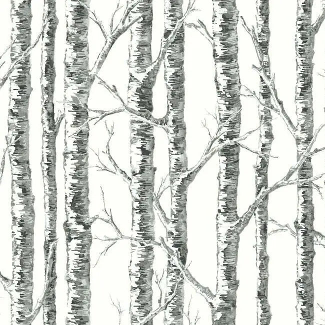 York BW3902 Paper Birch Wallpaper