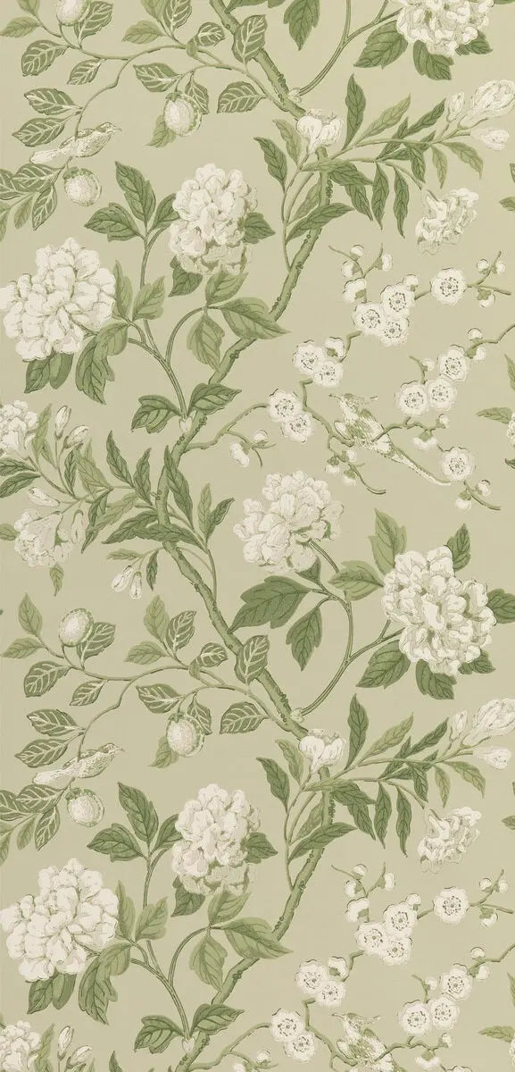 G P & J Baker Wallpaper BW45000.10 Emperor's Garden Soft Green