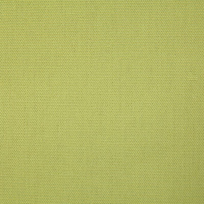 Pindler Fabric CAL067-GR77 Callahan Parrot