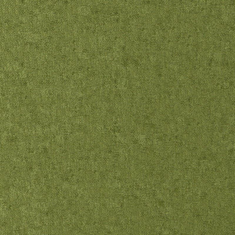 Maxwell Fabric CHE811 Conte Grass