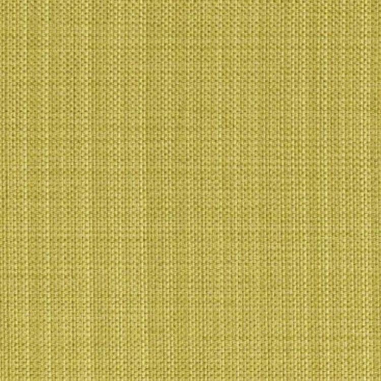 RM Coco Fabric CLEAN CUT Key Lime