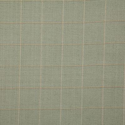 Pindler Fabric DAN050-GR01 Danson Sage