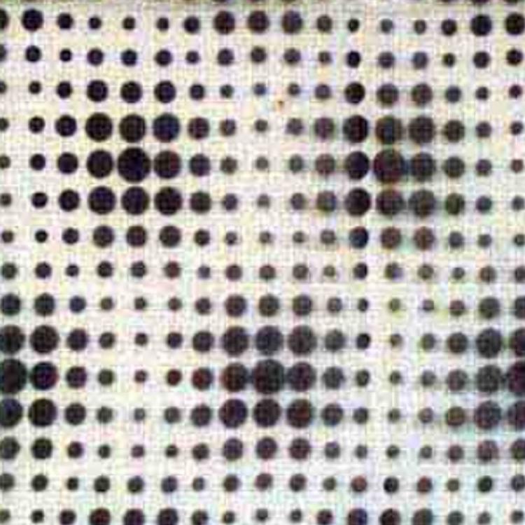 RM Coco Fabric DOTTED LINE Platinum