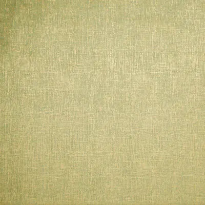 Clarke and Clarke Fabric F0751-2 Patina Citrus