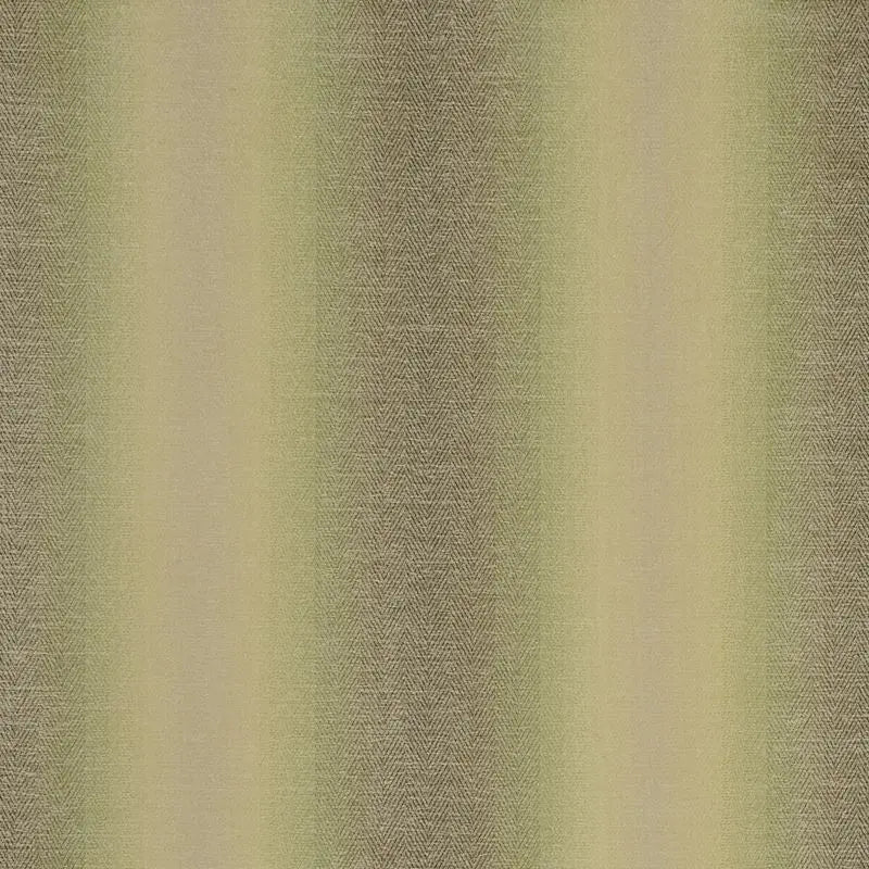 Clarke and Clarke Fabric F0789-6 Antico Olive