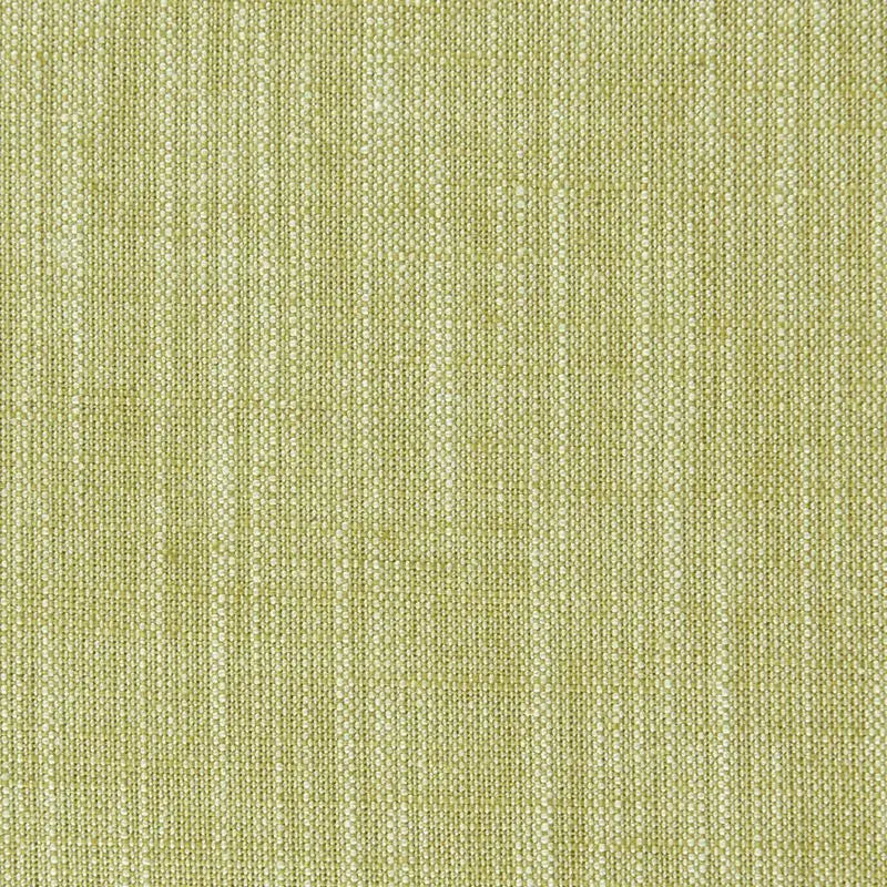 Clarke and Clarke Fabric F0965-11 Biarritz Citrus