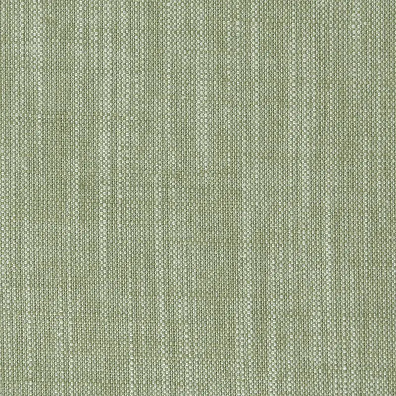 Clarke and Clarke Fabric F0965-36 Biarritz Parsley