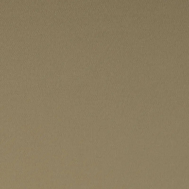 Clarke and Clarke Fabric F1062-29 Spectrum Pecan