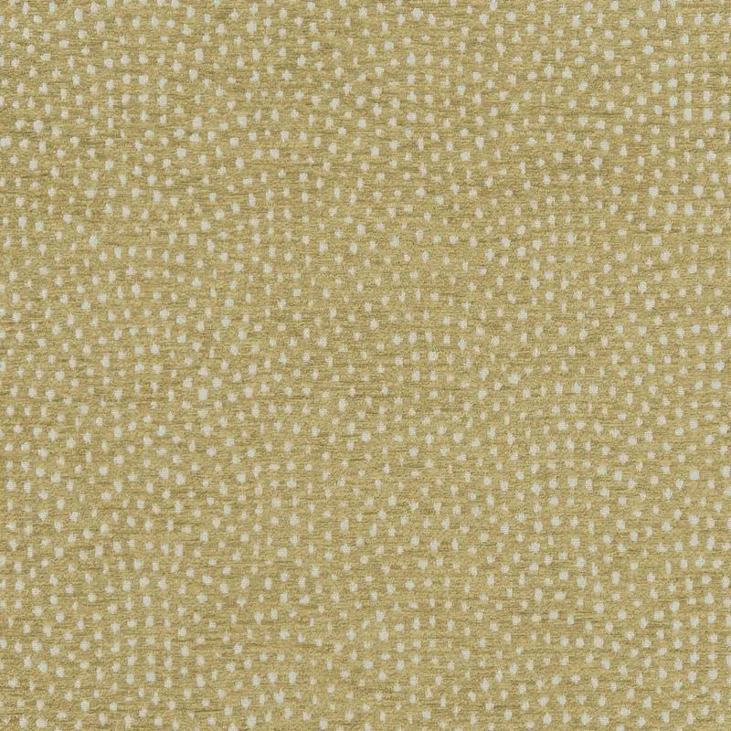 Clarke and Clarke Fabric F1132-1 Nebula Antique