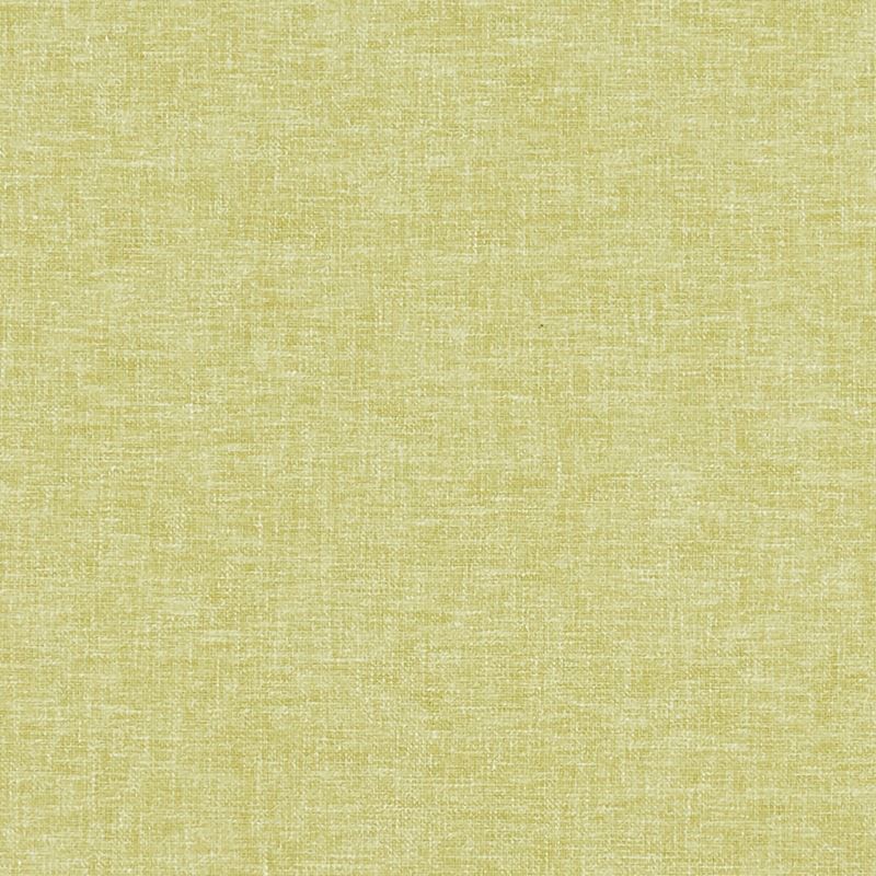 Clarke and Clarke Fabric F1345-8 Kelso Citrus